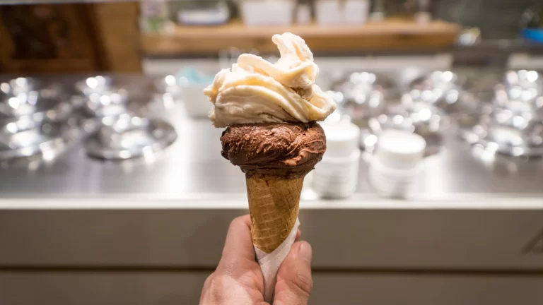 Discovering The Sustainability practices in ice cream shops