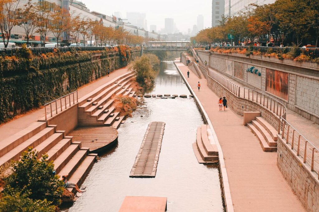 강남식스