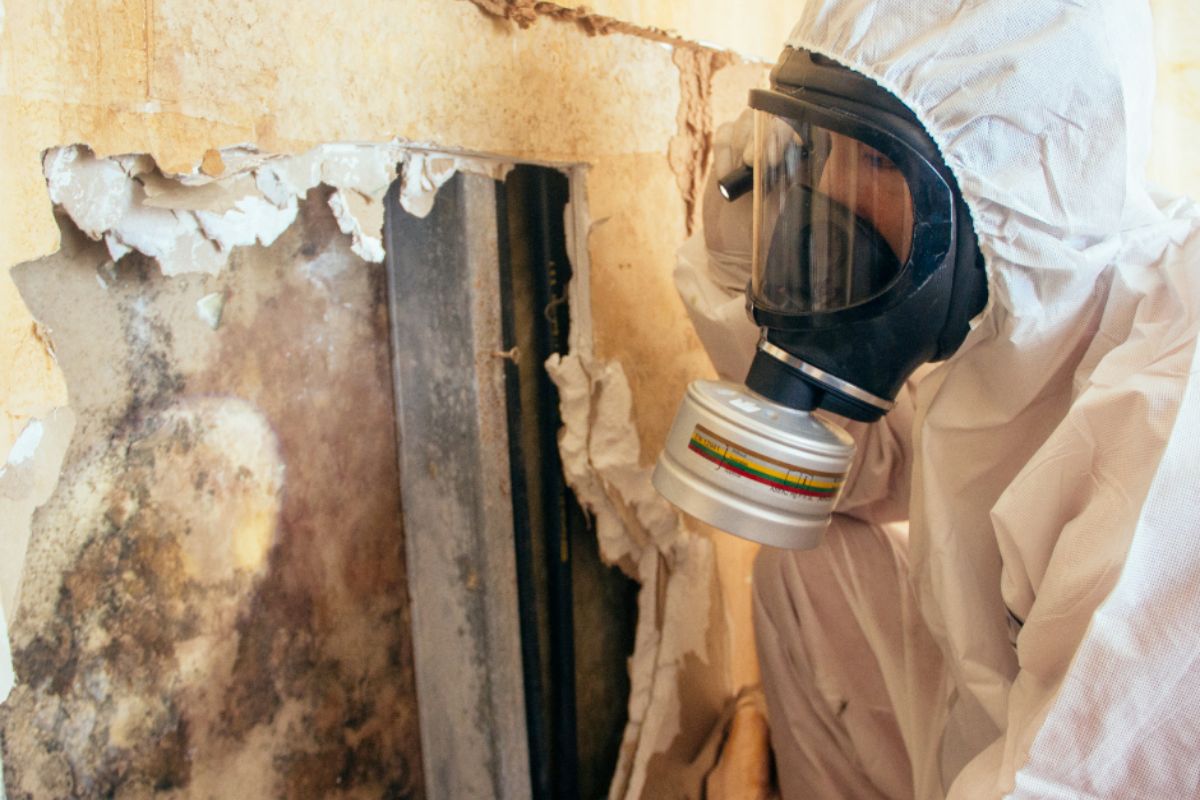 Professional Mold Inspection Evaluations Reducing Risks of Long-Term Contamination